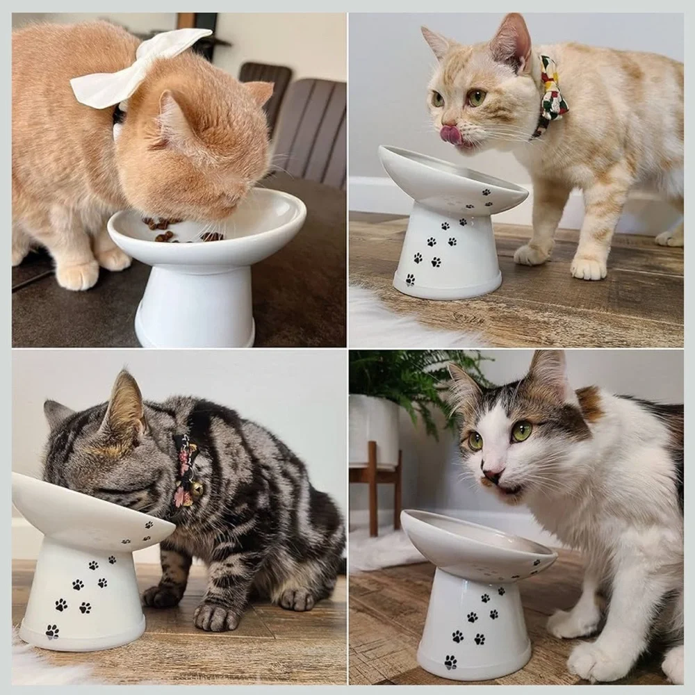 Necoichi Raised Ceramic Cat Bowl Extra Wide Tilted